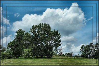 Looking Up The Hill