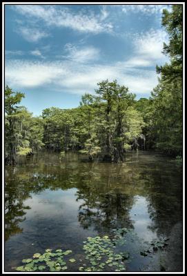 Caddo Lake