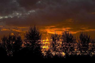 Sunset.jpg