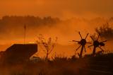 Boerenerf bij zonsopkomst met mestkar en oude hooischudder ( verdwijnend landschap)