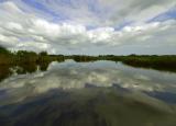 Oostzanerveld zuid achter de firma Ruig b.v. (verdwijnend landschap)