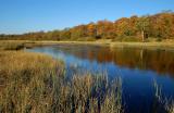 Veluwe herfst.