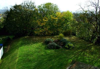 Backyard from Taymount Grange in Forest Hill