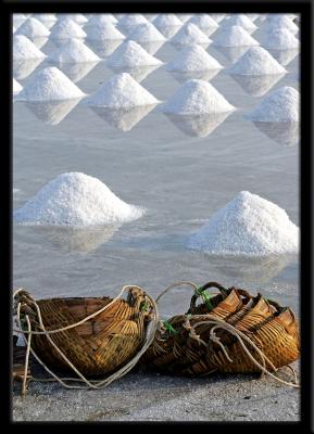 Field of Salt Thailand