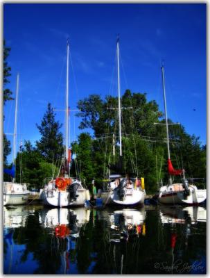 Dreamy sailboats