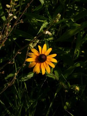 smallDSCN7519.JPG
