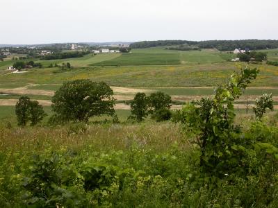 smallDSCN7558.JPG