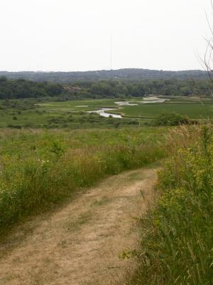 smallDSCN7565.JPG