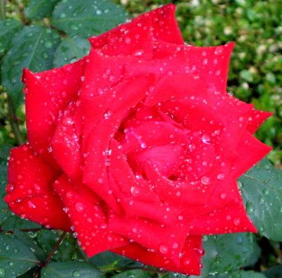 IMG_1725.JPG