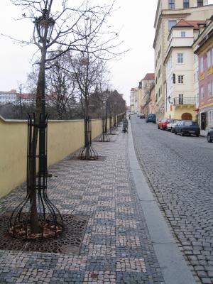 IMG_9679.JPG
