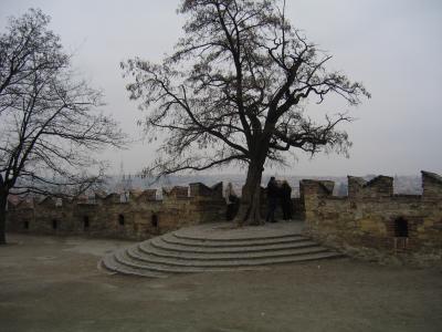 IMG_9735.JPG