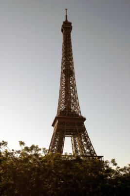 IMG_1136sml.jpg