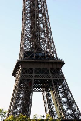 IMG_1137sml.jpg