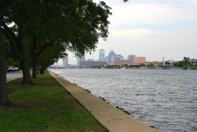 Dreary Day Tampa