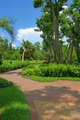 v3/08/535308/3/44820922.pathway.jpg