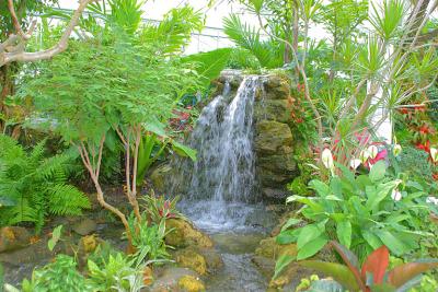 Waterfalls in the Butterfly room
