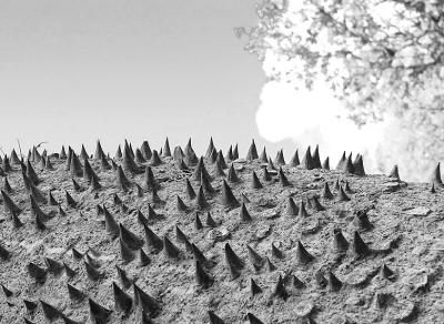 Rough Terrain
