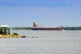 Freighter on Tampa Bay