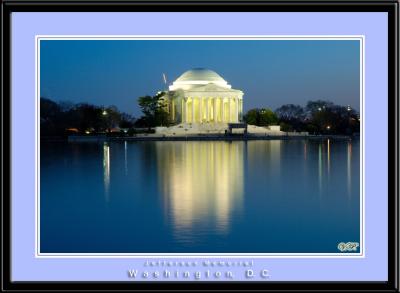 Cherry Blossom, Jefferson Memorial, D.C.