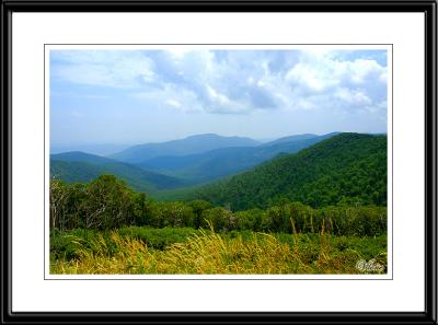 Shenandoah National Park, VA