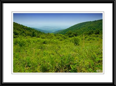 Shenandoah National Park, VA