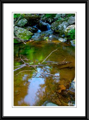 Shenandoah National Park, VA