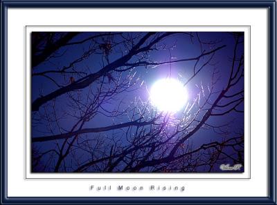 Full Moon Rising over Herndon, VA