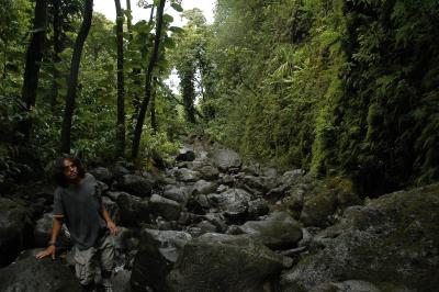 Road to Hana