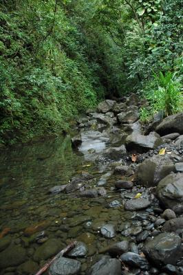 Road to Hana