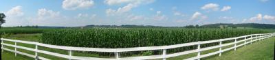 v3/08/573608/3/45968435.sagamore_farms_pano.jpg