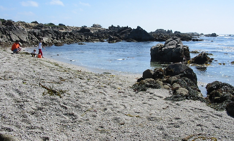 Pacific Grove_07.jpg