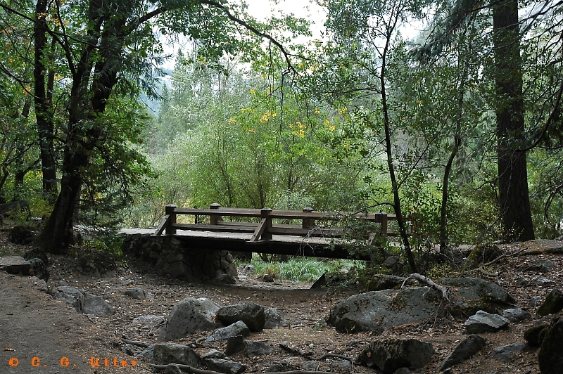 Mirror Lake/Meadow - Tenaya Creek Trail Footbridge