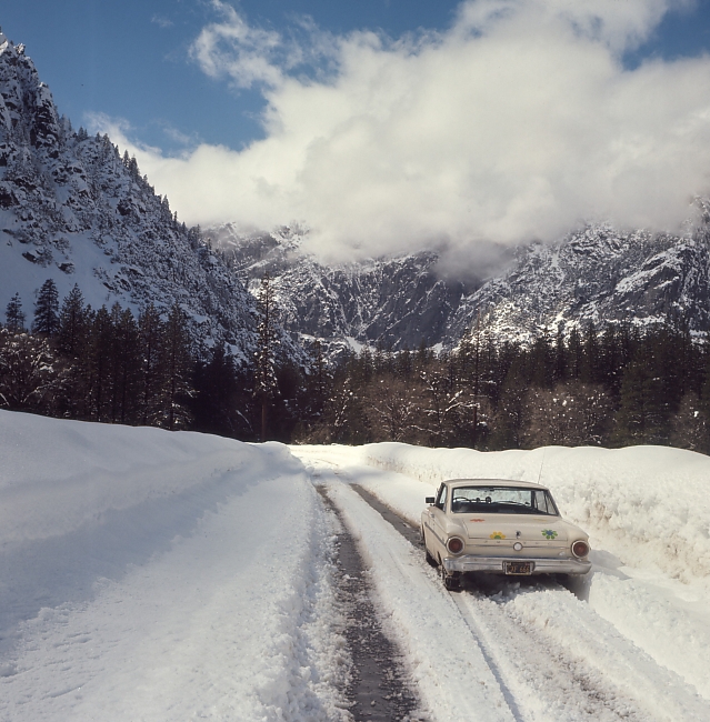 Road in Stoneman Meadow