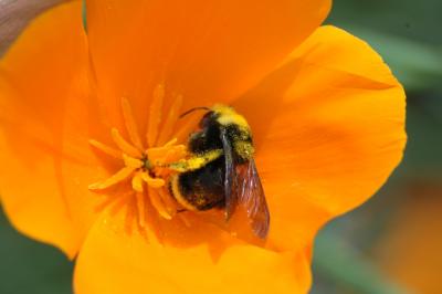 DSC_0729a.jpg
