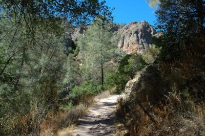 High Peaks from trail