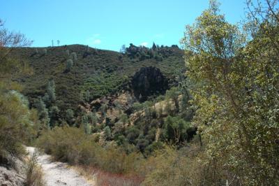 Looking back down the trail