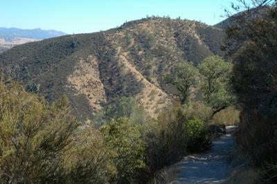 Photo of trail