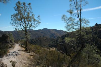 Rest spot