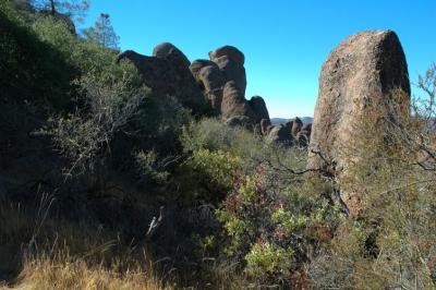 Pinnacles_16.jpg