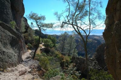 Trail on the west side of the High Peaks