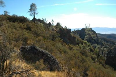 Pinnacles_35.jpg