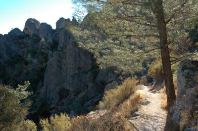 Pinnacles_38.jpg