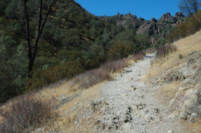 Trail start