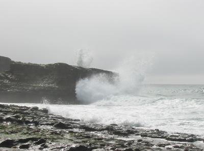 Waves in the mist