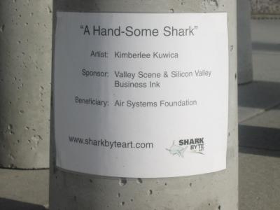 A Hand-Some Shark