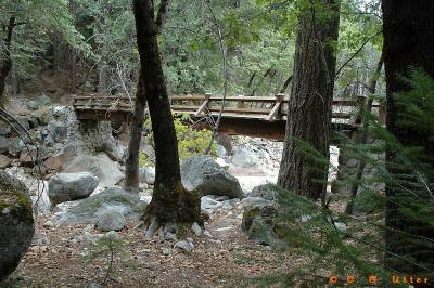 Tenaya Creek Footbridge