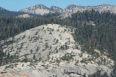 Indian Ridge - detail