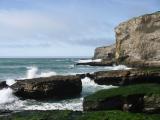 Rocks & seaweed