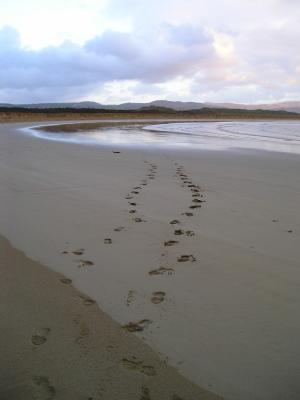 Footsteps on Carrigart Beach, Co. Donegal