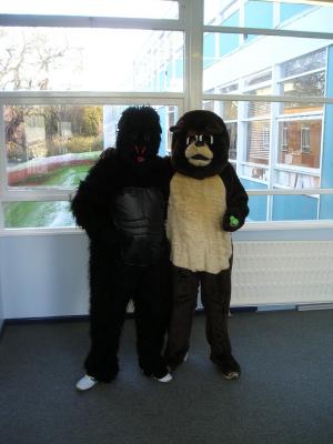 The Gorilla and The Bear